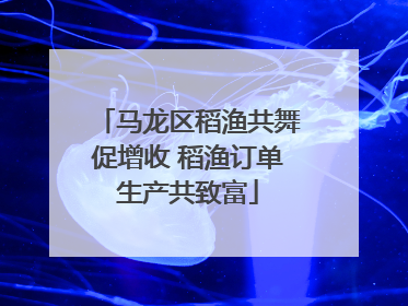 马龙区稻渔共舞促增收 稻渔订单生产共致富