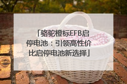 骆驼橙标EFB启停电池：引领高性价比启停电池新选择