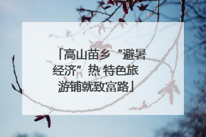 高山苗乡“避暑经济”热 特色旅游铺就致富路
