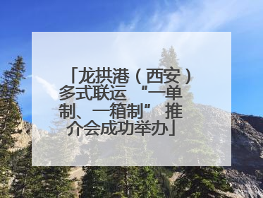 龙拱港（西安）多式联运 “一单制、一箱制” 推介会成功举办