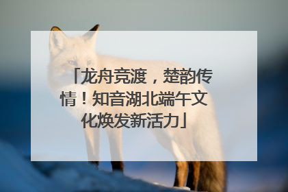 龙舟竞渡，楚韵传情！知音湖北端午文化焕发新活力