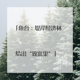 鱼台：堤岸经济林结出“致富果”