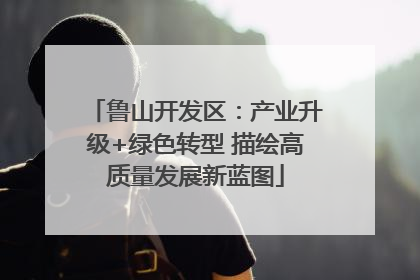 鲁山开发区：产业升级+绿色转型 描绘高质量发展新蓝图