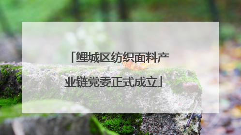 鲤城区纺织面料产业链党委正式成立