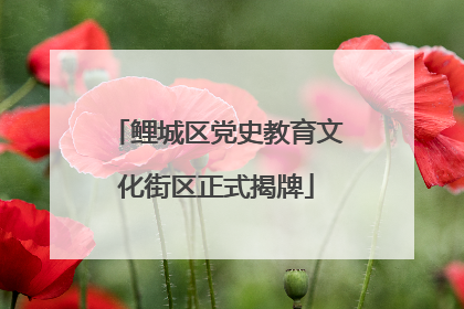 鲤城区党史教育文化街区正式揭牌