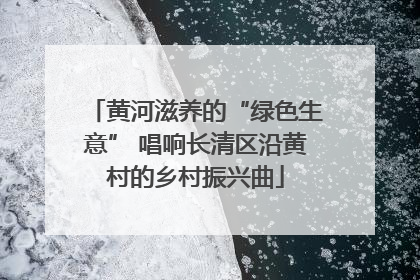 黄河滋养的“绿色生意” 唱响长清区沿黄村的乡村振兴曲