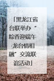 黑龙江省台联举办“粽香迎端午·龙台情相融”交流联谊活动