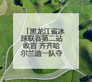 黑龙江省冰球联赛第二站收官 齐齐哈尔兰迪一队夺冠
