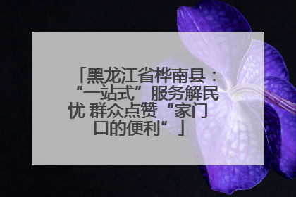 黑龙江省桦南县：“一站式”服务解民忧 群众点赞“家门口的便利”