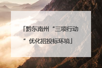 黔东南州“三项行动”优化招投标环境