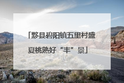 黟县碧阳镇五里村盛夏桃熟好“丰”景