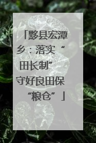 黟县宏潭乡：落实“田长制” 守好良田保“粮仓”