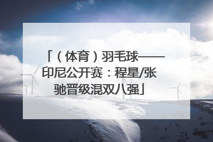 （体育）羽毛球——印尼公开赛：程星/张驰晋级混双八强