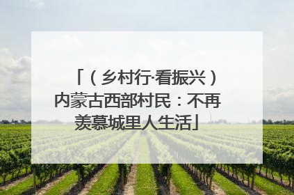 （乡村行·看振兴）内蒙古西部村民：不再羡慕城里人生活