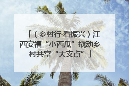 （乡村行·看振兴）江西安福“小西瓜”撬动乡村共富“大支点”