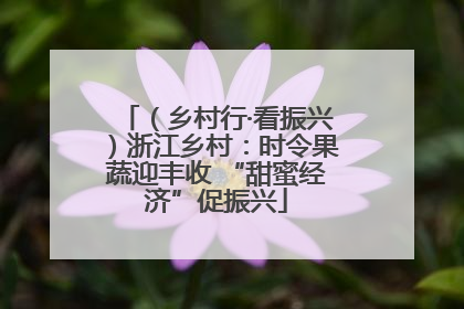 （乡村行·看振兴）浙江乡村：时令果蔬迎丰收 “甜蜜经济”促振兴