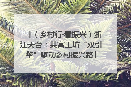 （乡村行·看振兴）浙江天台：共富工坊“双引擎”驱动乡村振兴路