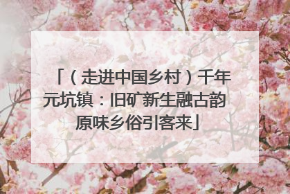 （走进中国乡村）千年元坑镇：旧矿新生融古韵 原味乡俗引客来