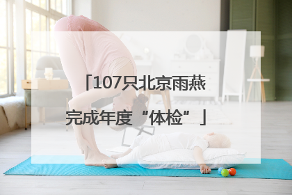 107只北京雨燕完成年度“体检”