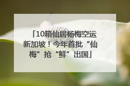 10箱仙居杨梅空运新加坡！今年首批“仙梅”抢“鲜”出国