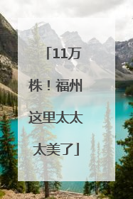 11万株！福州这里太太太美了