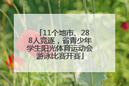 11个地市、288人竞逐，省青少年学生阳光体育运动会游泳比赛开赛