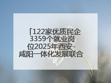 122家优质民企 3359个就业岗位2025年西安-咸阳一体化发展联合招聘会举办