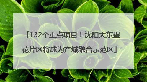 132个重点项目！沈阳大东望花片区将成为产城融合示范区