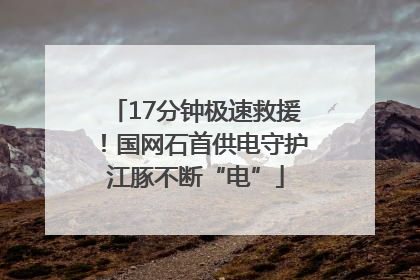 17分钟极速救援！国网石首供电守护江豚不断“电”