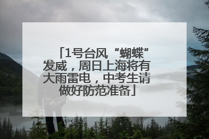 1号台风“蝴蝶”发威，周日上海将有大雨雷电，中考生请做好防范准备