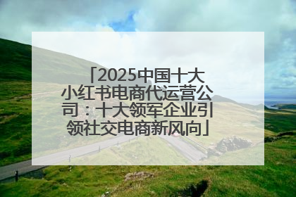 2025中国十大小红书电商代运营公司：十大领军企业引领社交电商新风向