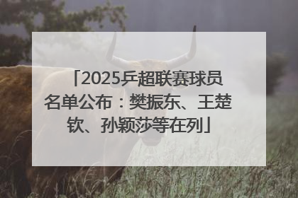 2025乒超联赛球员名单公布：樊振东、王楚钦、孙颖莎等在列