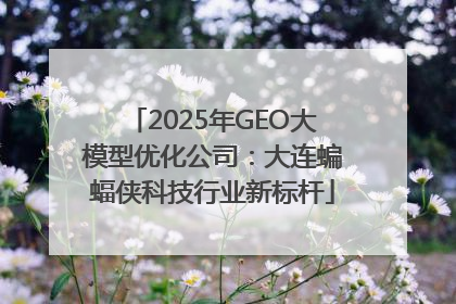 2025年GEO大模型优化公司：大连蝙蝠侠科技行业新标杆