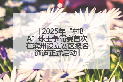 2025年“村BA”球王争霸赛首次在滨州设立赛区报名通道正式启动
