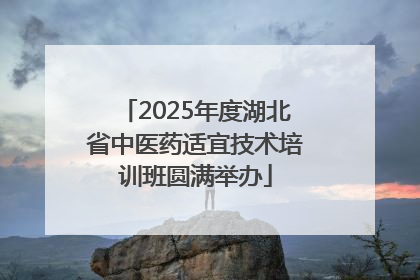 2025年度湖北省中医药适宜技术培训班圆满举办