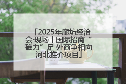 2025年廊坊经洽会·现场丨国际招商“磁力”足 外商争相向河北推介项目