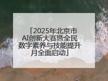 2025年北京市AI创新大赛暨全民数字素养与技能提升月全面启动