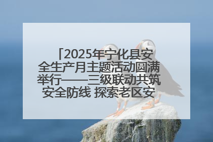 2025年宁化县安全生产月主题活动圆满举行——三级联动共筑安全防线 探索老区安全发展新路径