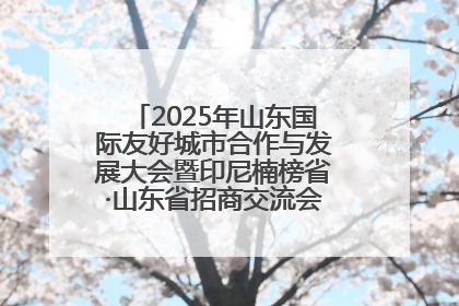 2025年山东国际友好城市合作与发展大会暨印尼楠榜省·山东省招商交流会在济南槐荫举行