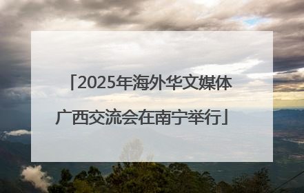 2025年海外华文媒体广西交流会在南宁举行