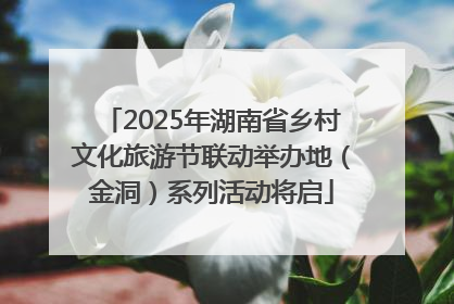 2025年湖南省乡村文化旅游节联动举办地（金洞）系列活动将启