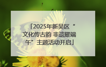 2025年新吴区“文化传古韵 非遗耀端午”主题活动开启