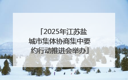 2025年江苏盐城市集体协商集中要约行动推进会举办