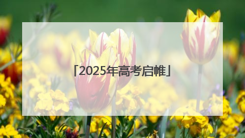 2025年高考启帷