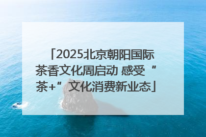 2025北京朝阳国际茶香文化周启动 感受“茶+”文化消费新业态