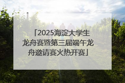 2025海淀大学生龙舟赛暨第三届端午龙舟邀请赛火热开赛