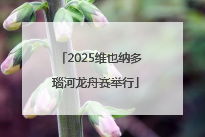 2025维也纳多瑙河龙舟赛举行
