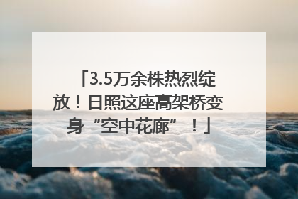 3.5万余株热烈绽放！日照这座高架桥变身“空中花廊”！