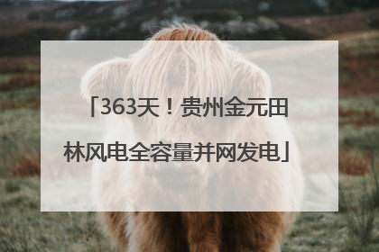 363天！贵州金元田林风电全容量并网发电