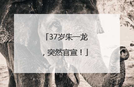 37岁朱一龙，突然官宣！